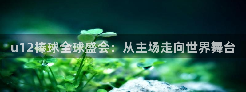 2026世界杯中国队：u12棒球全球盛会：从主场走向世界舞台