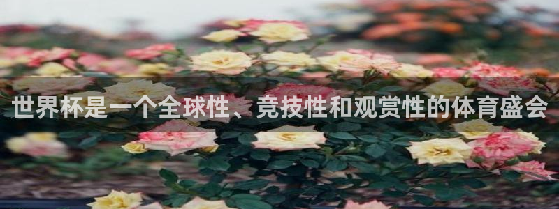 2026世界杯亚洲预选赛：世界杯是一个全球性、竞技性和观赏性的体育盛会