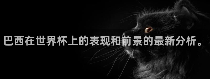 2006世界杯：巴西在世界杯上的表现和前景的最新分析。