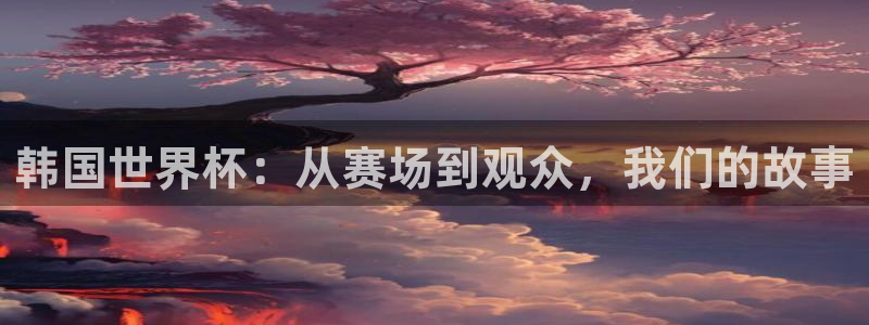 2026年世界杯时间表:韩国世界杯:从赛场到观众,我们的故事
