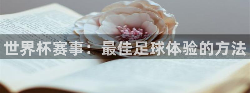 2026年世界杯对阵图：世界杯赛事：最佳足球体验的方法