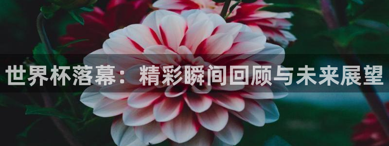 世界杯亚洲预选赛18强赛程:世界杯落幕:精彩瞬间回顾与未来展望