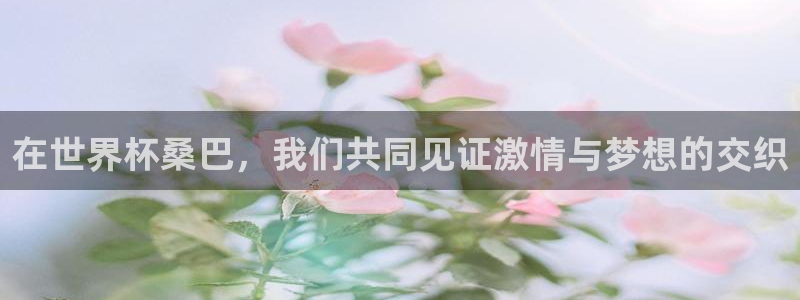2026世界杯小组赛赛程时间表：在世界杯桑巴，我们共同见证激情与梦想的交织