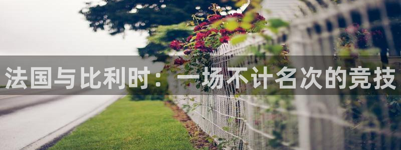 世界杯亚洲区预选赛赛程：法国与比利时：一场不计名次的竞技