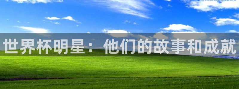 世界杯今年：世界杯明星：他们的故事和成就