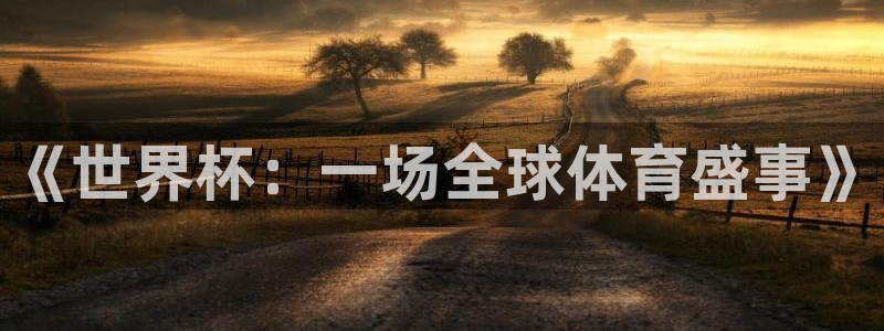 2026世界杯亚洲区预选赛赛程：《世界杯：一场全球体育盛事》