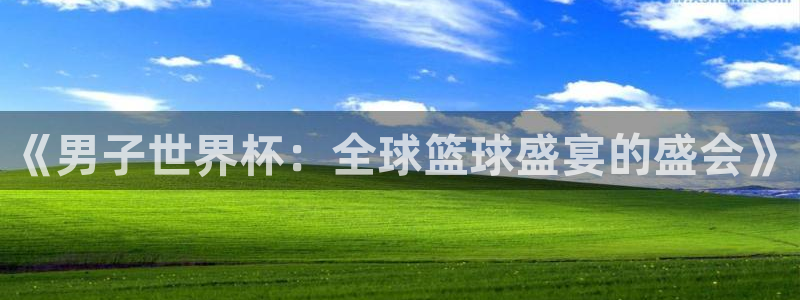 免费看足球直播比赛：《男子世界杯：全球篮球盛宴的盛会》