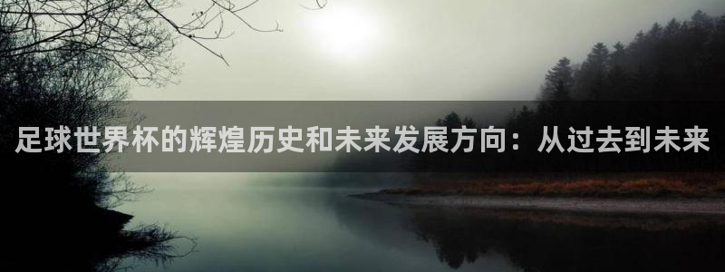 世界杯足球赛：足球世界杯的辉煌历史和未来发展方向：从过去到未来