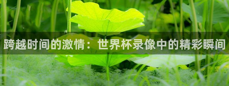 世界杯欧洲区预选赛赛程：跨越时间的激情：世界杯录像中的精彩瞬间