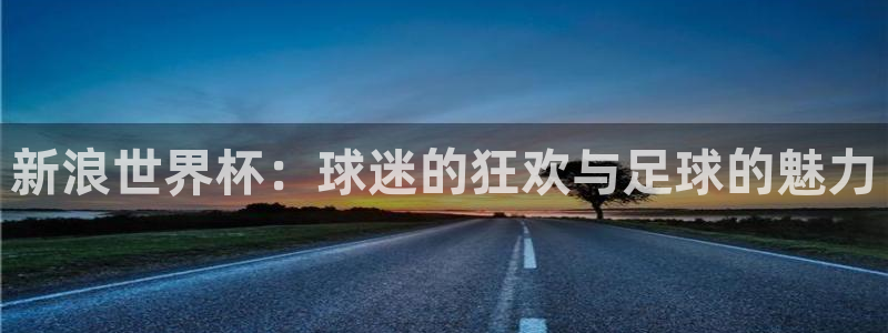 足球杯：新浪世界杯：球迷的狂欢与足球的魅力