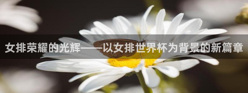 世界杯系列赛：女排荣耀的光辉——以女排世界杯为背景的新篇章