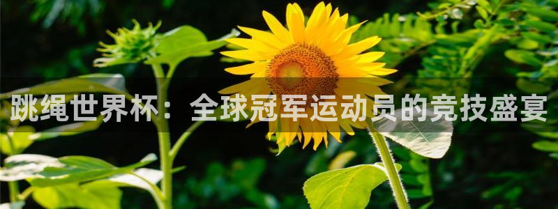 世界杯亚洲区预选赛赛程表：跳绳世界杯：全球冠军运动员的竞技盛宴