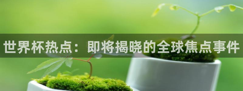 世界杯足球赛：世界杯热点：即将揭晓的全球焦点事件